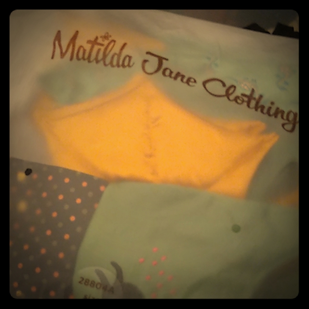 Dragon rider costume Matilda Jane